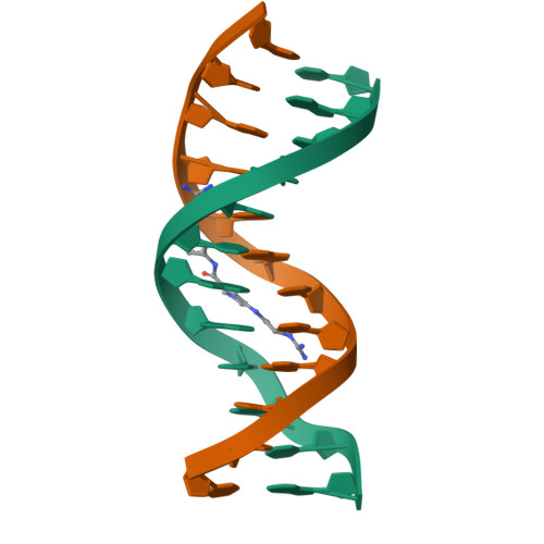 Rcsb Pdb D X Ray Structures Of The B Dna Dodecamer D Cgcgttaacgcg