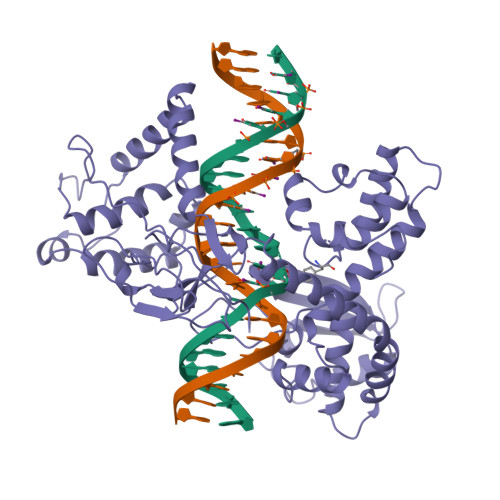 Rcsb Pdb A Human Reconstituted Dna Topoisomerase I In Covalent