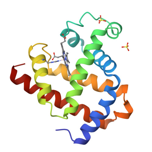 RCSB PDB 1A6N DEOXY MYOGLOBIN ATOMIC RESOLUTION