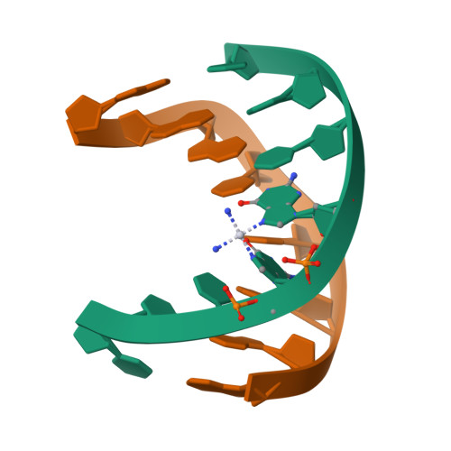 RCSB PDB 1AU5 SOLUTION STRUCTURE OF INTRASTRAND CISPLATIN