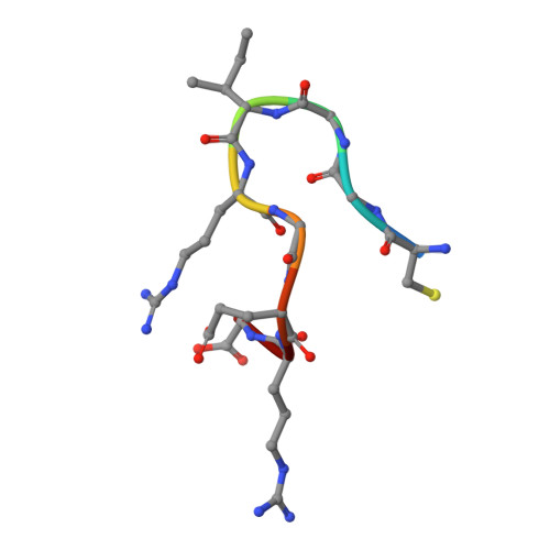 Rcsb Pdb Ct Solution Structure Of Cggirgerg In Contact With The