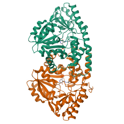 RCSB PDB 1D2F X RAY STRUCTURE OF MALY FROM ESCHERICHIA COLI A