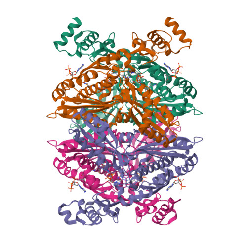 RCSB PDB 1DQA COMPLEX OF THE CATALYTIC PORTION OF HUMAN HMG COA