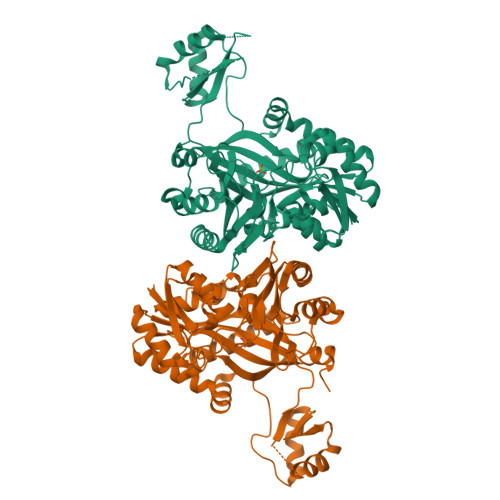 RCSB PDB 1DV1 STRUCTURE OF BIOTIN CARBOXYLASE APO