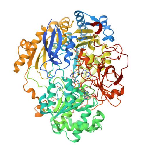 RCSB PDB 1E18 TUNGSTEN SUSBSTITUTED DMSO REDUCTASE FROM RHODOBACTER