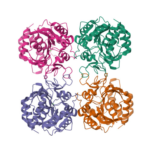 Rcsb Pdb Ezr Crystal Structure Of Nucleoside Hydrolase From