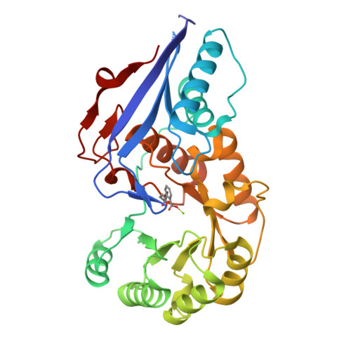 Rcsb Pdb Fhv Crystal Structure Analysis Of O Succinylbenzoate