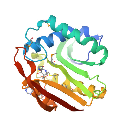 Rcsb Pdb Ghe Crystal Structure Of Tabtoxin Resistance Protein