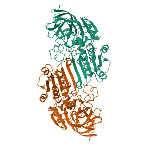 RCSB PDB 1HDX THREE DIMENSIONAL STRUCTURES OF THREE HUMAN ALCOHOL