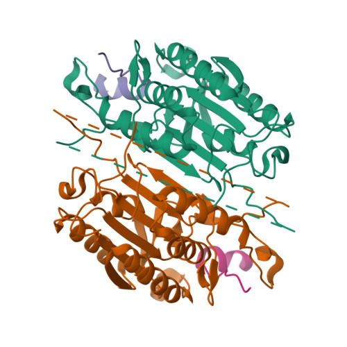 Rcsb Pdb Kmc Crystal Structure Of The Caspase Xiap Bir Complex