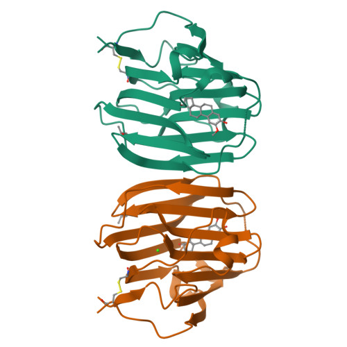 RCSB PDB 1LHW CRYSTAL STRUCTURE OF THE N TERMINAL LG DOMAIN OF SHBG