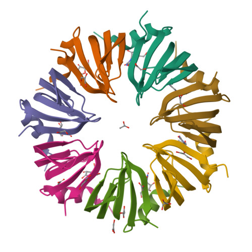 Rcsb Pdb Lnx Crystal Structure Of The P Aerophilum Smap Heptamer