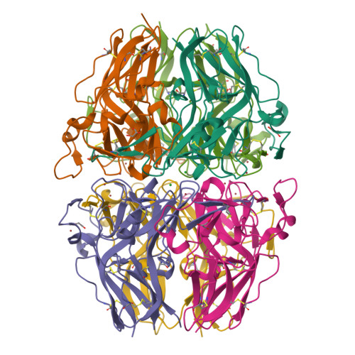 Rcsb Pdb M D Structure Of Type Iv Collagen Nc Domains