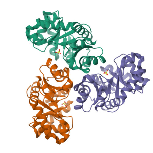 RCSB PDB 1MXS Crystal Structure Of 2 Keto 3 Deoxy 6 Phosphogluconate