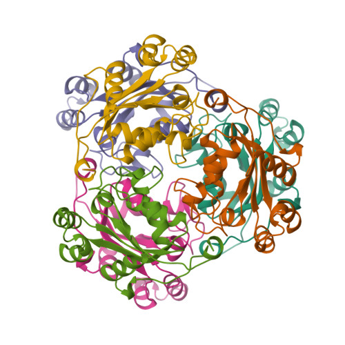 RCSB PDB 1NSK THE CRYSTAL STRUCTURE OF A HUMAN NUCLEOSIDE