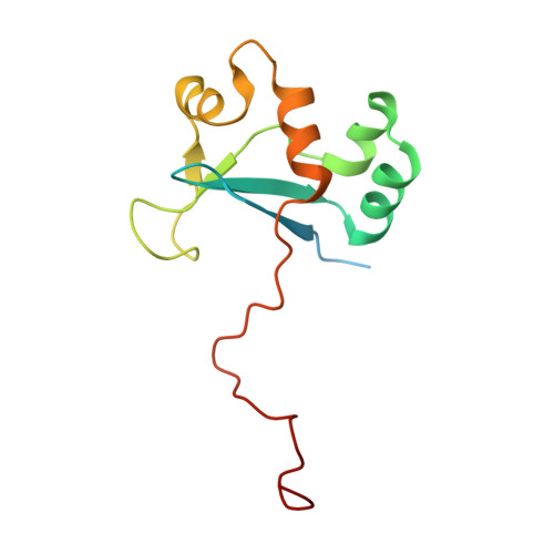 Rcsb Pdb Nyn Solution Nmr Structure Of Protein Yhr W From