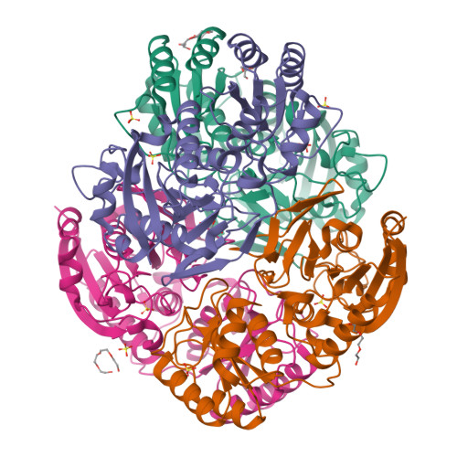 Rcsb Pdb O J Atomic Resolution Structure Of Erwinia Chrysanthemi L