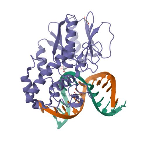 Rcsb Pdb Pm Crystal Structure Of Wild Type Lactococcus Lactis Fpg