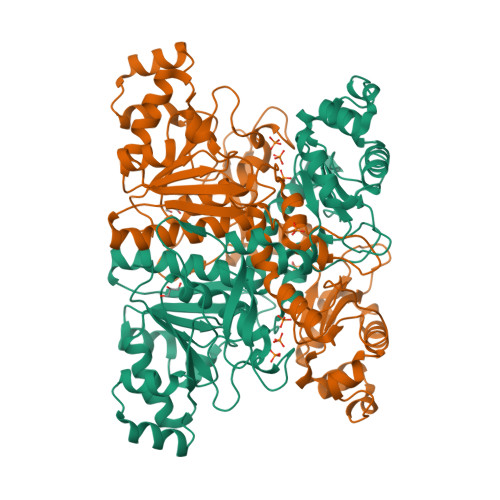 RCSB PDB 1PT7 Crystal Structure Of The Apo Form Of The YfdW Gene