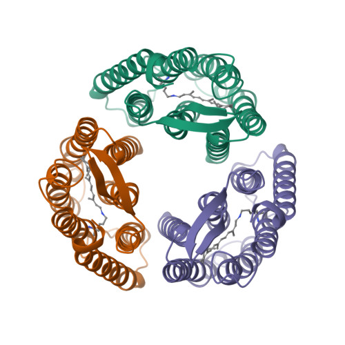 RCSB PDB 1QKO HIGH RESOLUTION X RAY STRUCTURE OF AN EARLY