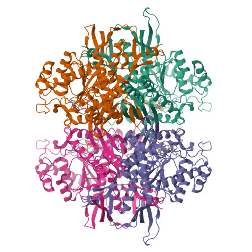 RCSB PDB 1RM0 Crystal Structure Of Myo Inositol 1 Phosphate Synthase