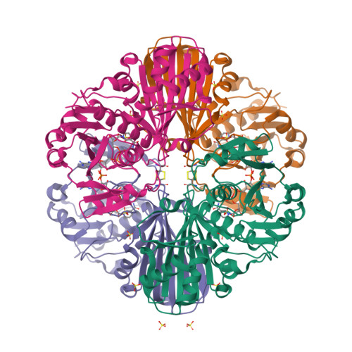 RCSB PDB 1RM3 Crystal Structure Of Mutant T33A Of Photosynthetic