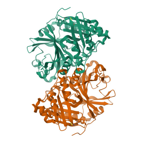 RCSB PDB 1SQD Structural Basis For Inhibitor Selectivity Revealed By