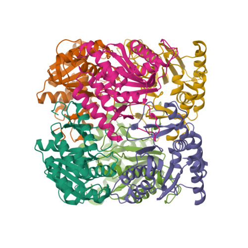 Rcsb Pdb Uan Crystal Structure Of The Conserved Protein Tt From