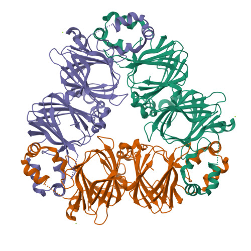 RCSB PDB 1UIK Crystal Structure Of Soybean Beta Conglycinin Alpha