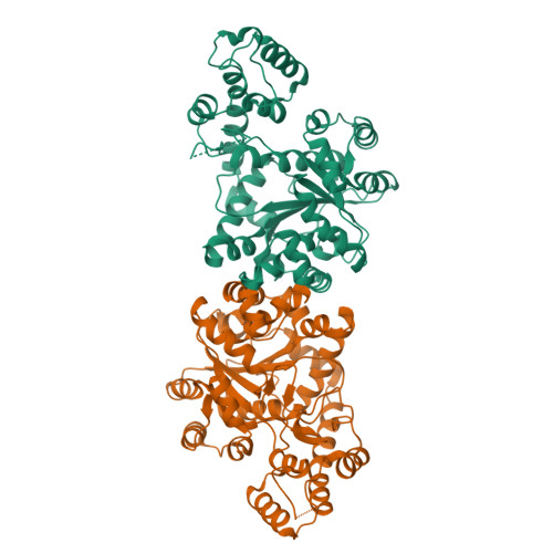 Rcsb Pdb Ulh A Short Peptide Insertion Crucial For Angiostatic