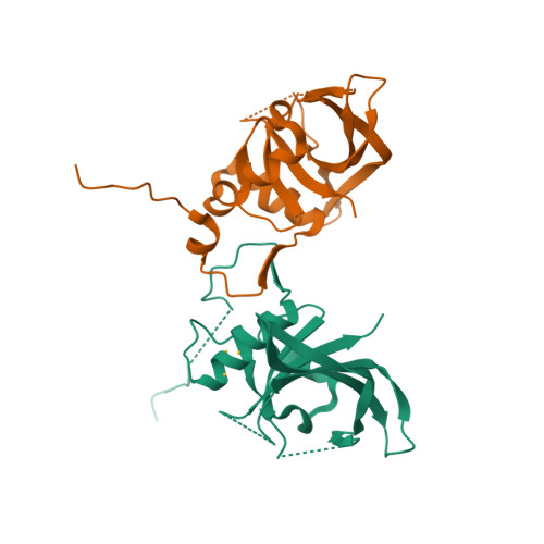 RCSB PDB 1UT7 Structure Of The Conserved Domain Of ANAC A Member Of