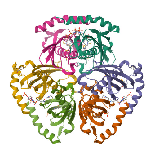 Rcsb Pdb Vpm Crystal Structure Of Acyl Coa Hydrolase Np