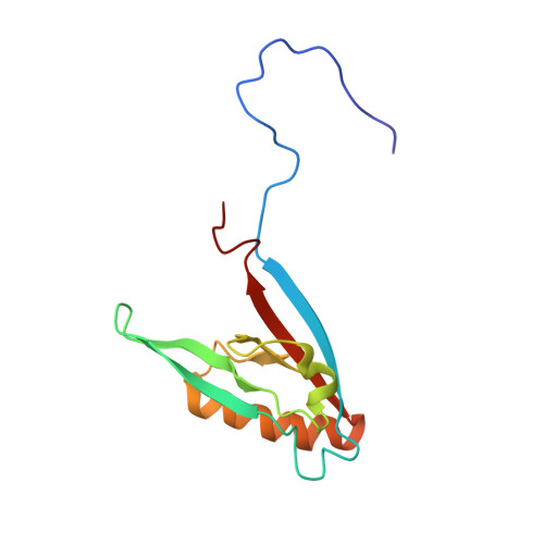 RCSB PDB 1WG6 Solution Structure Of PDZ Domain In Protein XP 110852