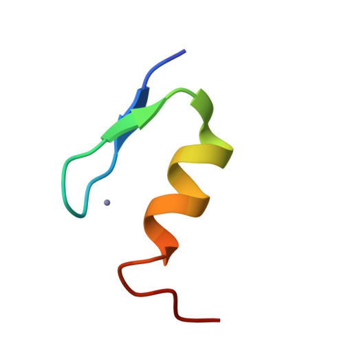 RCSB PDB 1XF7 High Resolution NMR Structure Of The Wilms Tumor