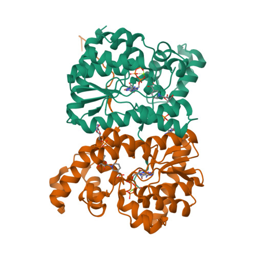 Rcsb Pdb Xng Crystal Structure Of Nh Dependent Nad Synthetase