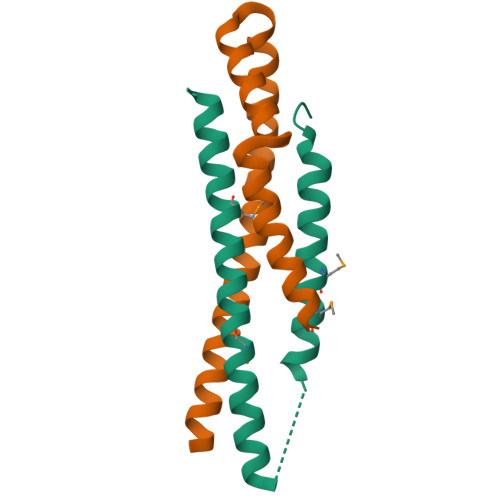 RCSB PDB 1XOU Crystal Structure Of The CesA EspA Complex