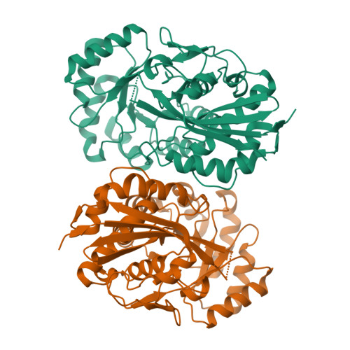 RCSB PDB 1XS2 Structural Basis For Catalytic Racemization And