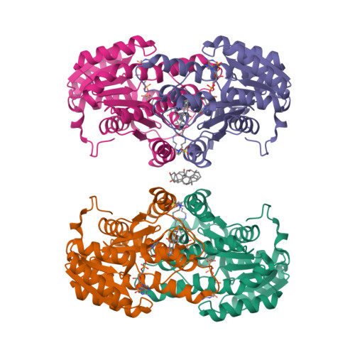 RCSB PDB 1XU7 Crystal Structure Of The Interface Open Conformation