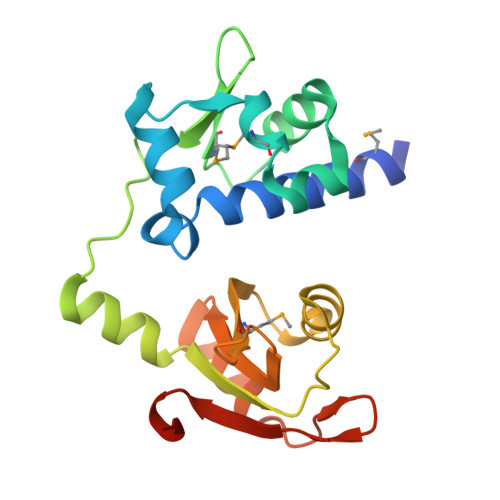 Gene P05455 Protein SSB Overview CanSAR Ai