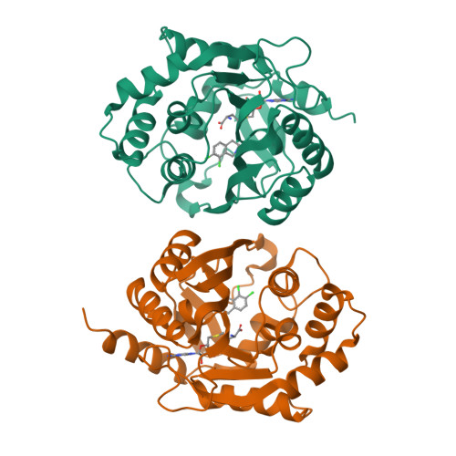 RCSB PDB 1YZ3 Structure Of Human Pnmt Complexed With Cofactor