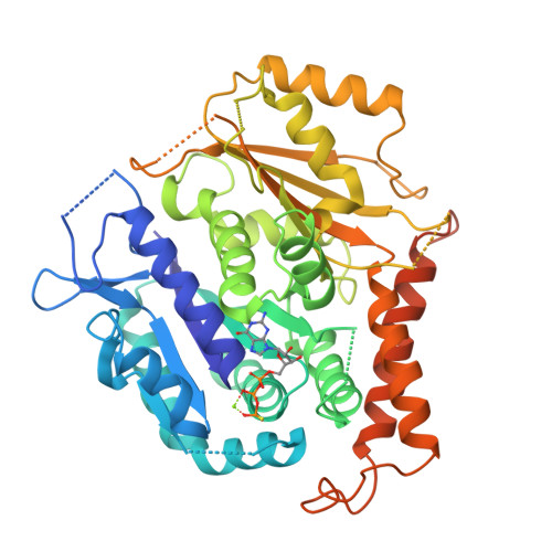 RCSB PDB 1Z5V Crystal Structure Of Human Gamma Tubulin Bound To