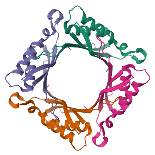 Rcsb Pdb Z W Tetrameric Structure Of Apo Dihydroneopterin