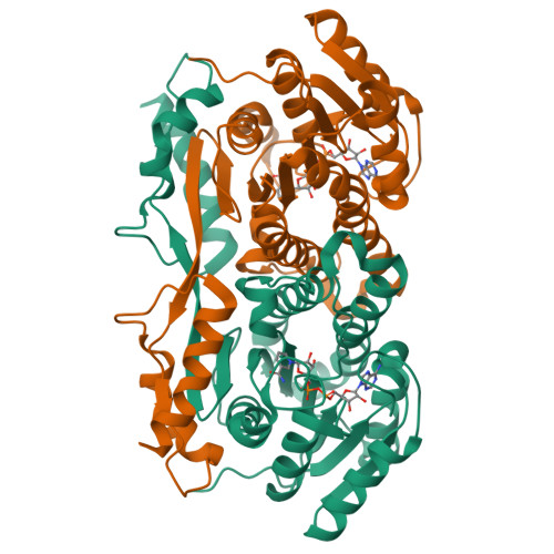 RCSB PDB 1ZBQ Crystal Structure Of Human 17 Beta Hydroxysteroid