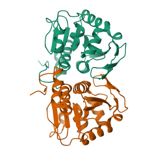 RCSB PDB 2AB0 Crystal Structure Of E Coli Protein YajL ThiJ