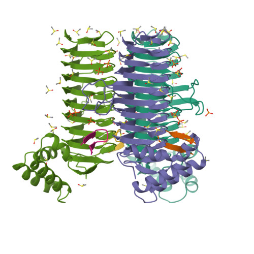 RCSB PDB 2AQ9 Structure Of E Coli LpxA With A Bound Peptide That Is