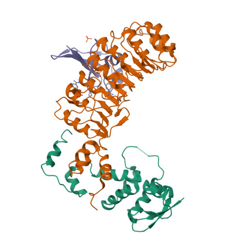 Rcsb Pdb Ass Crystal Structure Of The Skp Skp Cks Complex