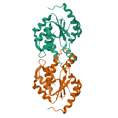 RCSB PDB 2AXP X Ray Crystal Structure Of Protein BSU20280 From