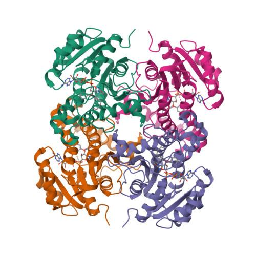 RCSB PDB 2B36 Crystal Structure Of Mycobacterium Tuberculosis Enoyl