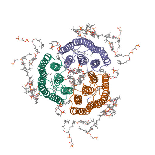 Rcsb Pdb Brd Crystal Structure Of Bacteriorhodopsin In Purple Membrane