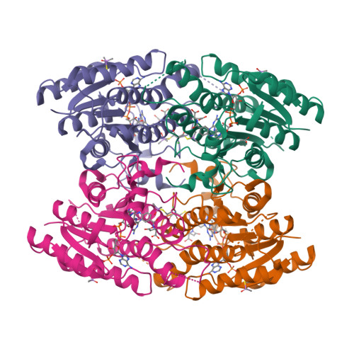 Rcsb Pdb C V Structure Of Trypanosoma Brucei Pteridine Reductase